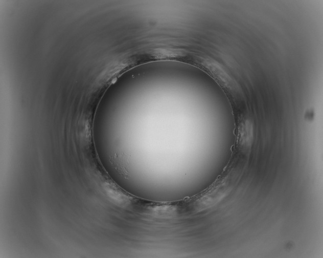 X0000094800426200711161502