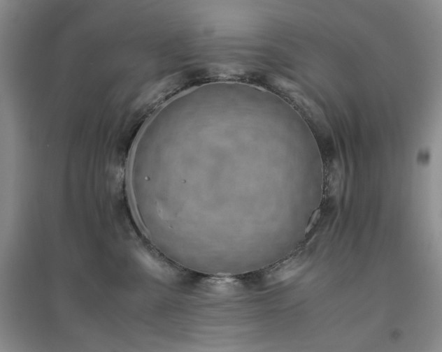 X0000094800427200711161502