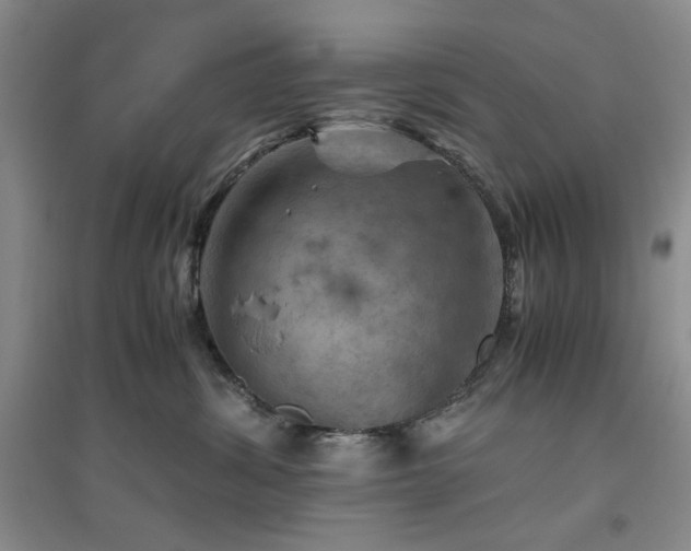 X0000094800428200711161502