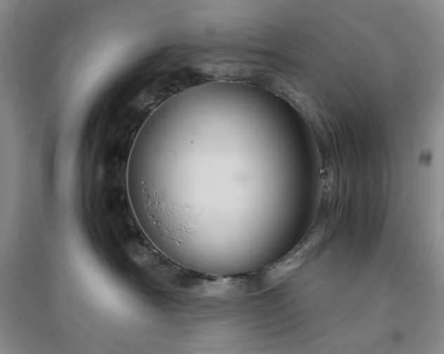 X0000094800430200711161502