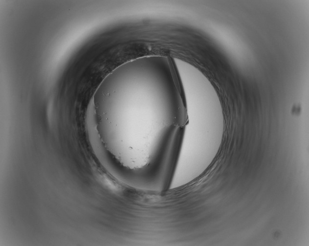 X0000094800431200711161502