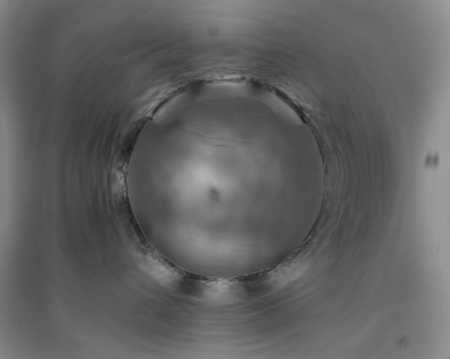 X0000094800432200711161502