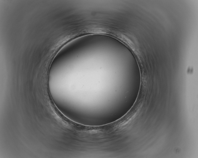 X0000094800433200711161501