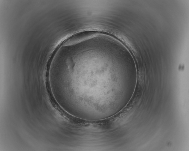 X0000094800434200711161501