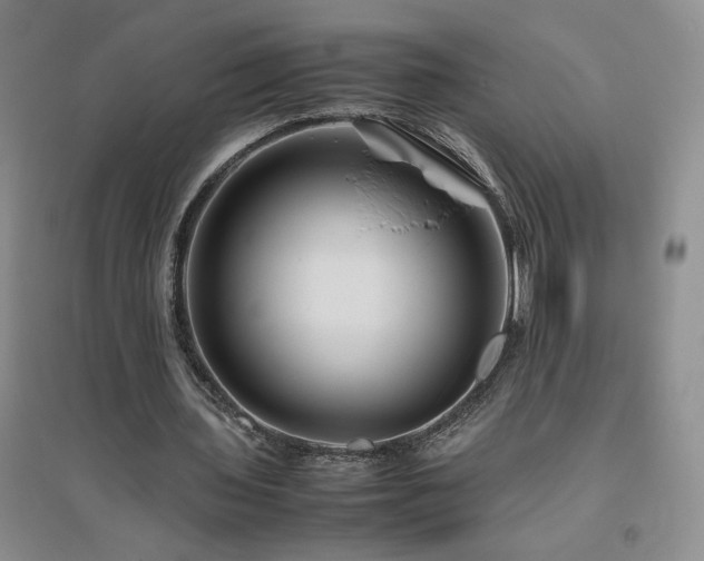 X0000094800435200711161501