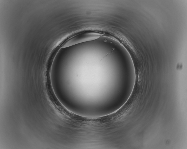 X0000094800436200711161502