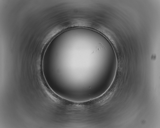 X0000094800437200711161502