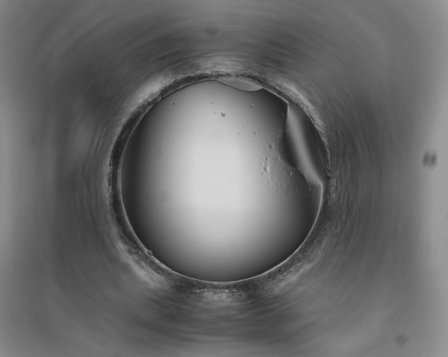 X0000094800439200711161502