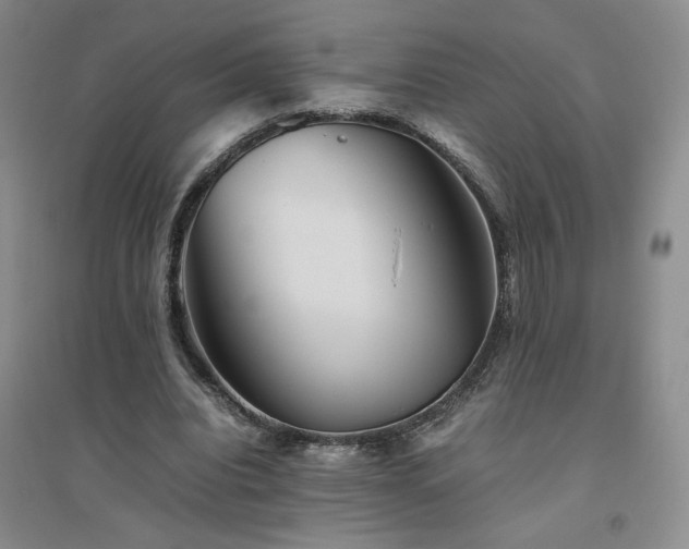 X0000094800440200711161502