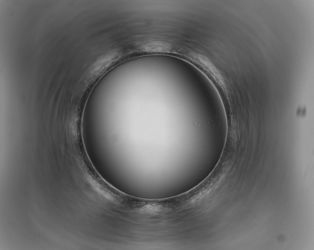 X0000094800441200711161502