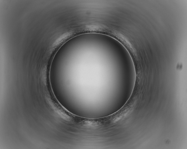 X0000094800442200711161502