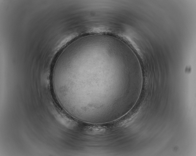 X0000094800443200711161502