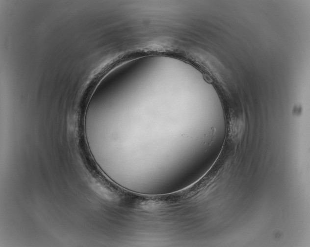 X0000094800444200711161502