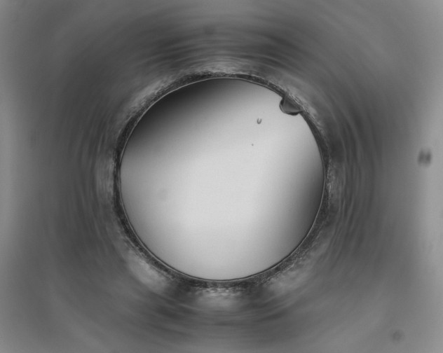 X0000094800445200711161502