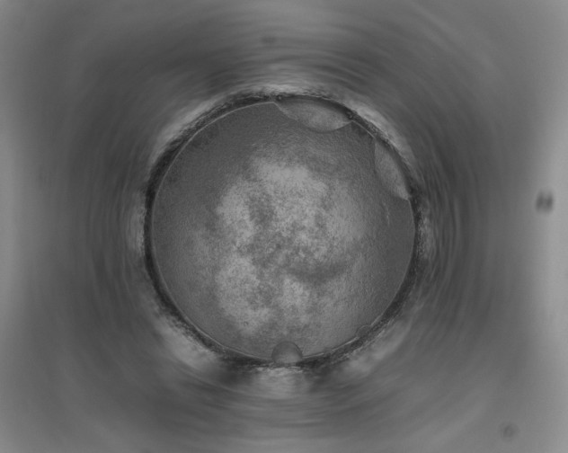 X0000094800446200711161502