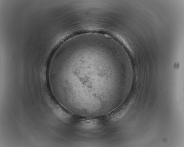 X0000094800447200711161502