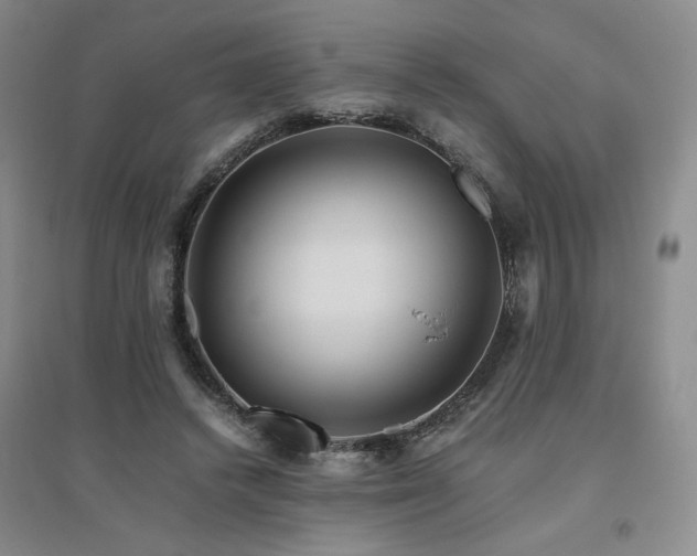 X0000094800448200711161502