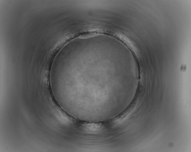X0000094800449200711161502