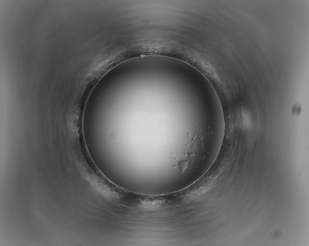 X0000094800450200711161502