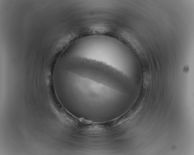 X0000094800451200711161502