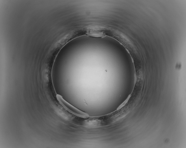 X0000094800452200711161502