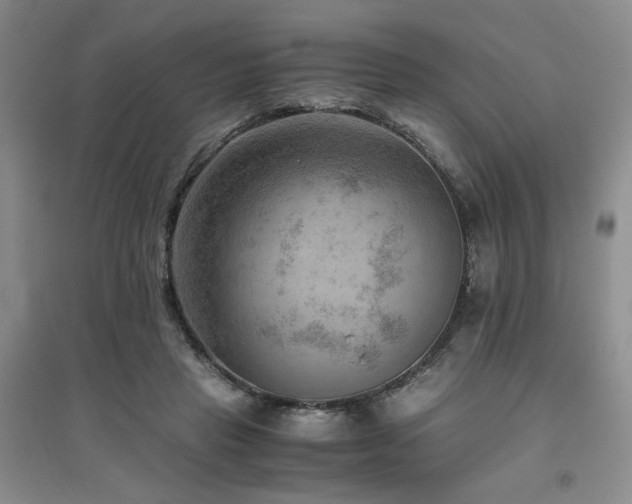 X0000094800453200711161502