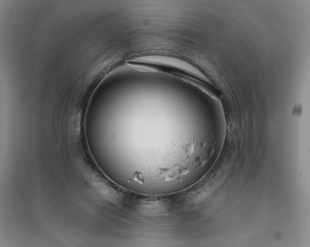X0000094800454200711161502