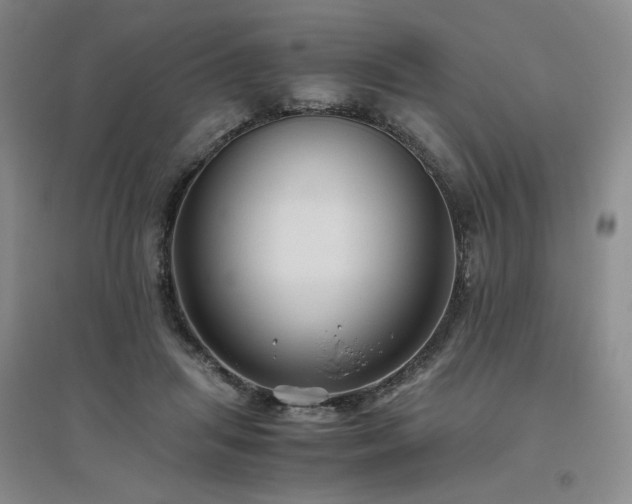 X0000094800455200711161502