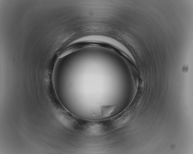 X0000094800456200711161502
