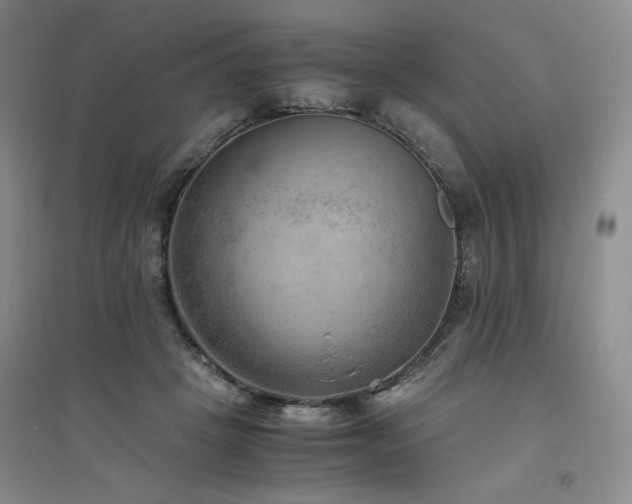 X0000094800457200711161502