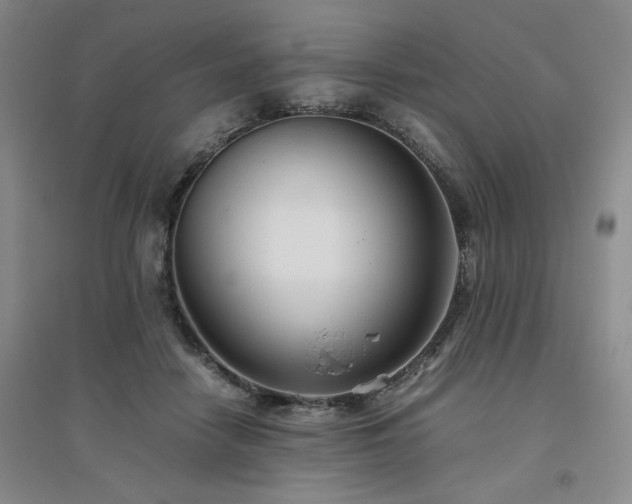 X0000094800458200711161502