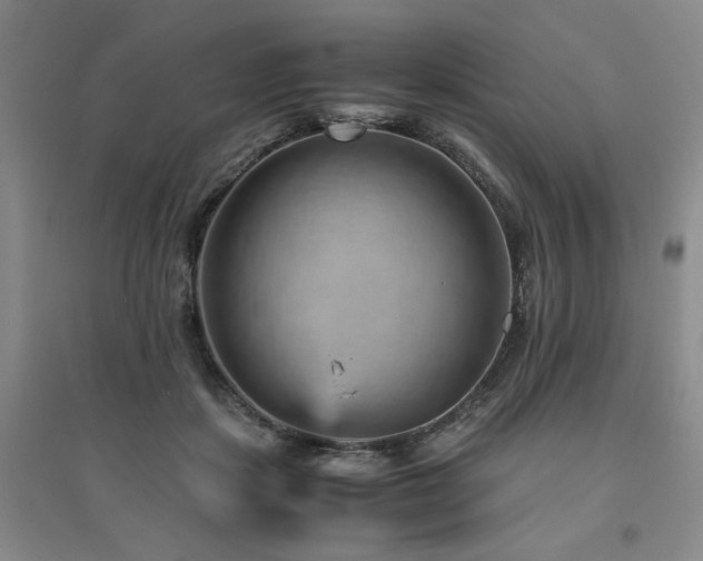 X0000094800459200711161502