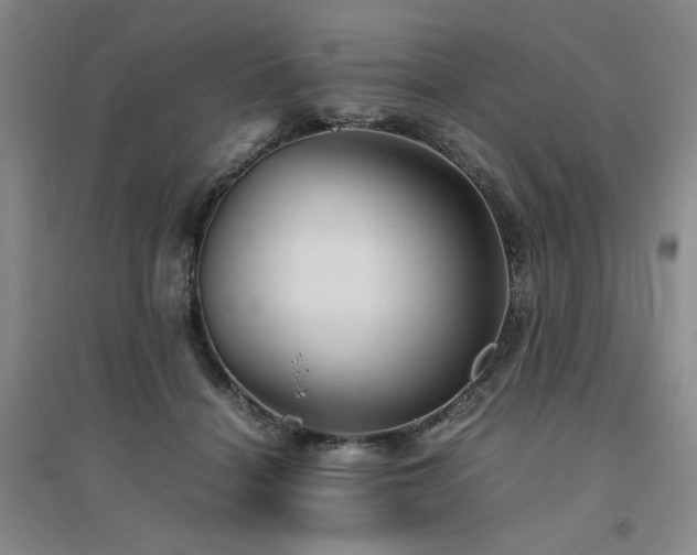 X0000094800460200711161502