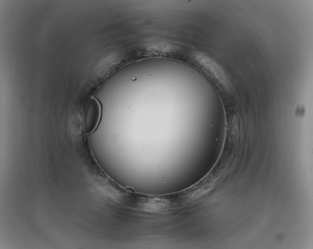 X0000094800463200711161502