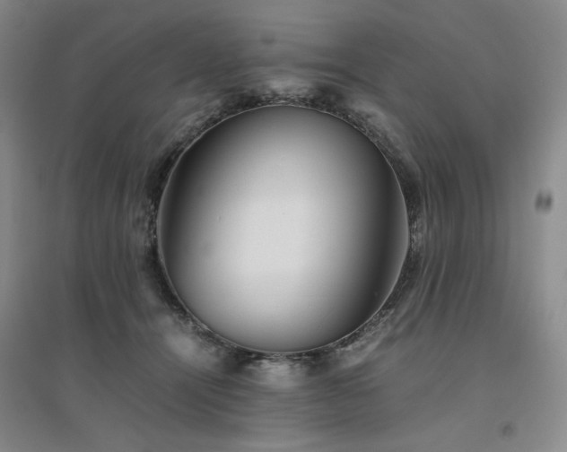X0000094800464200711161502