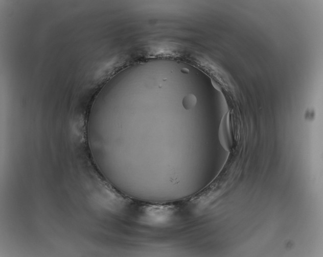 X0000094800465200711161502