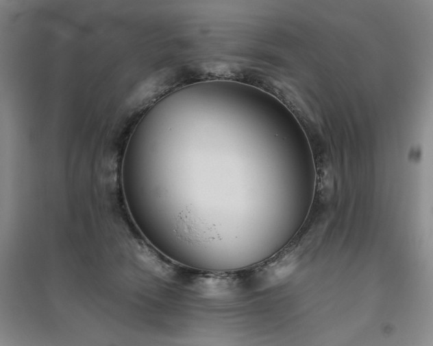 X0000094800466200711161502