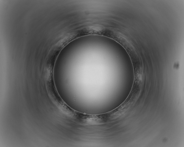 X0000094800468200711161502