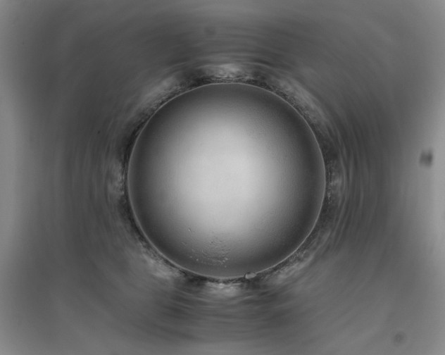 X0000094800469200711161502