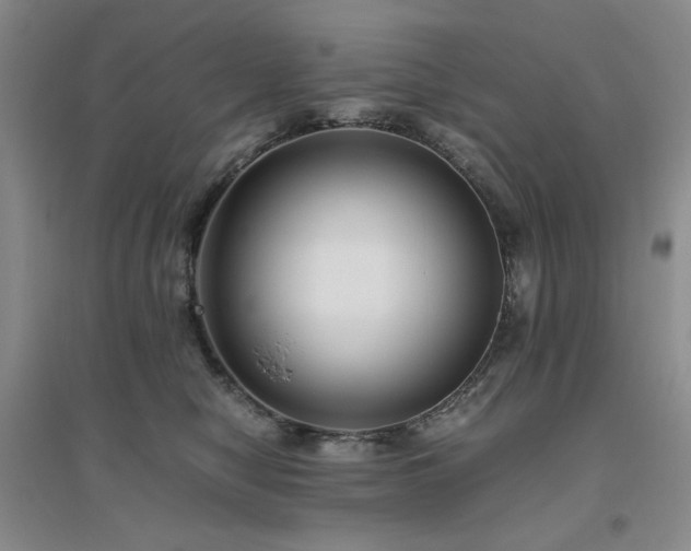 X0000094800470200711161502
