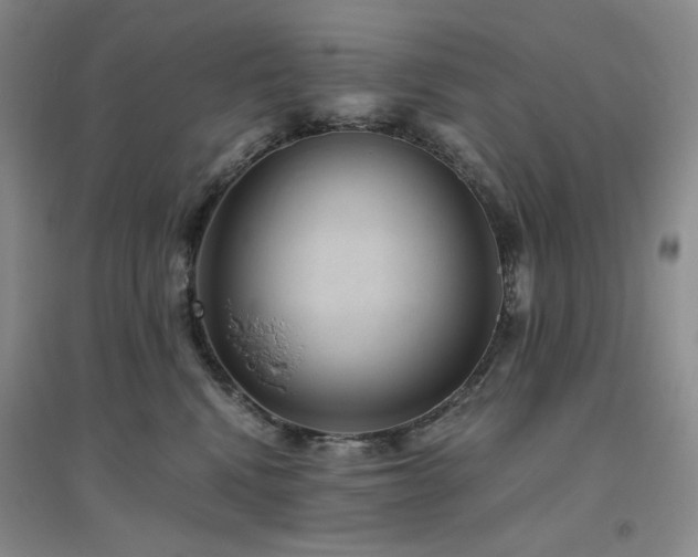 X0000094800472200711161502