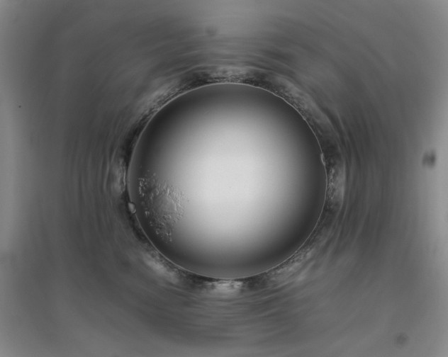 X0000094800474200711161502