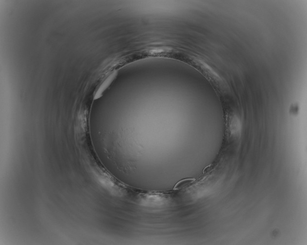 X0000094800475200711161502