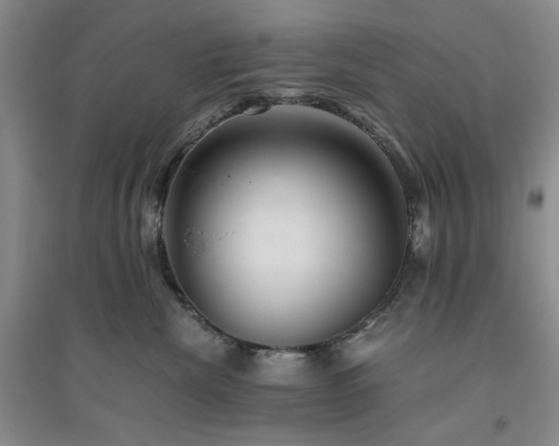 X0000094800476200711161502