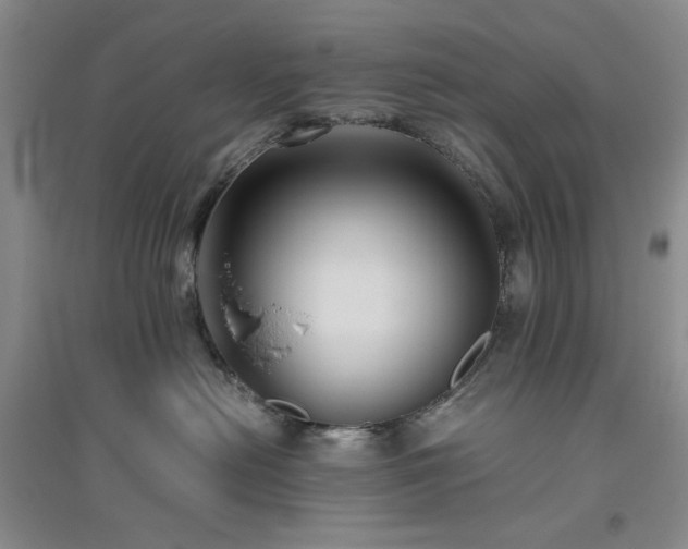 X0000094800478200711161502