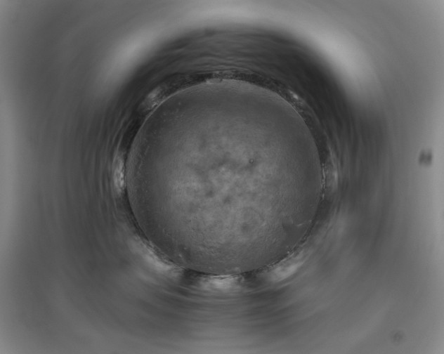 X0000094800479200711161502