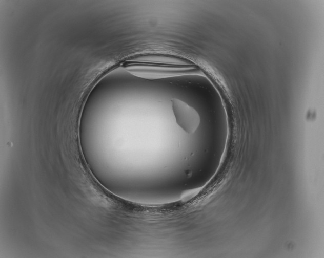 X0000094800481200711161501