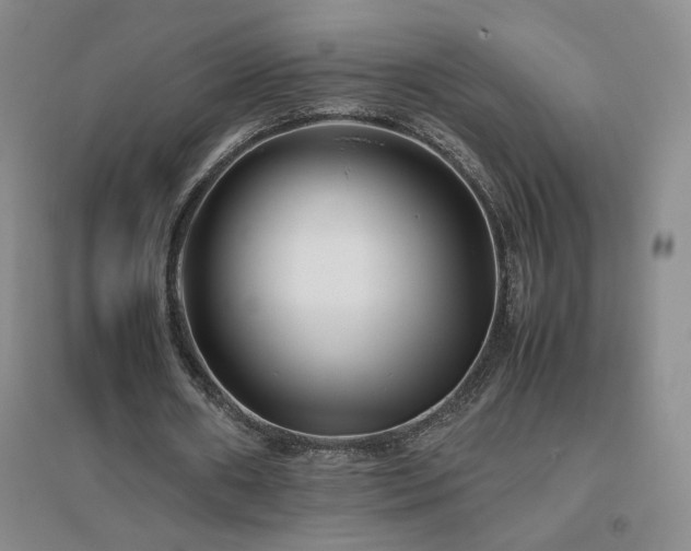X0000094800482200711161501