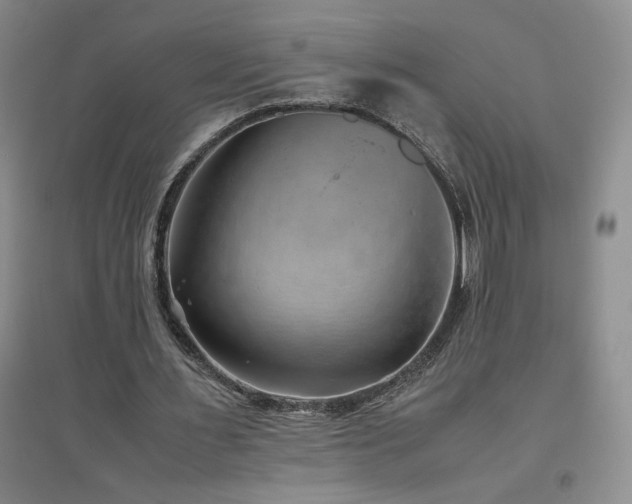 X0000094800483200711161501