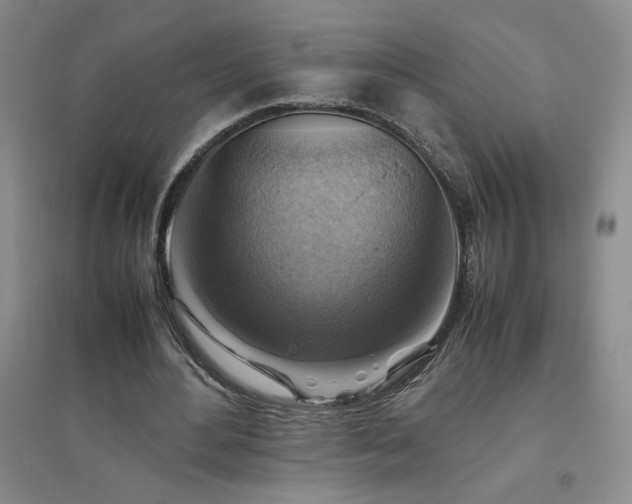 X0000094800484200711161501
